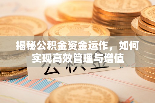 阿坝揭秘公积金资金运作，如何实现高效管理与增值