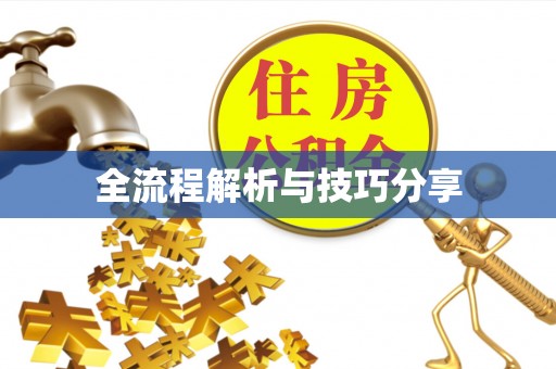 阿坝全流程解析与技巧分享